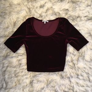 Charlotte Russe Tops - Velvet crop top Charlotte Russe Tops - Velvet crop top